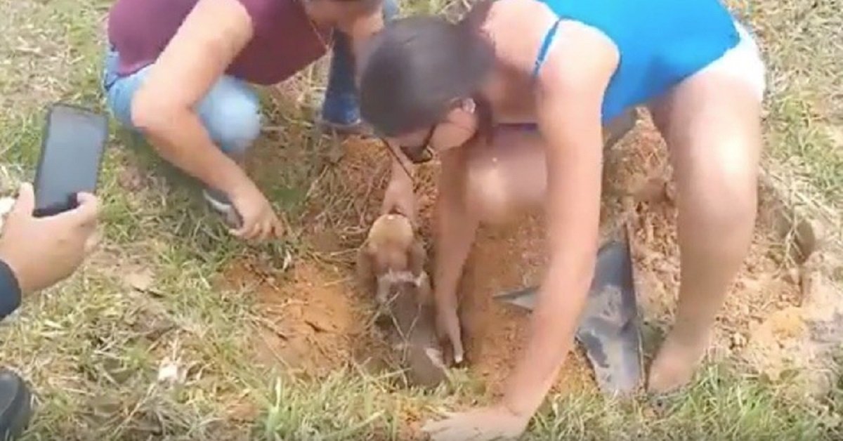 Cucciolo sotterrato vivo