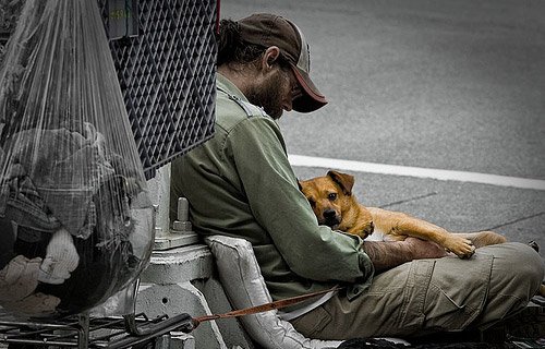 il-legame-tra-i-cani-ed-il-senzatetto 3