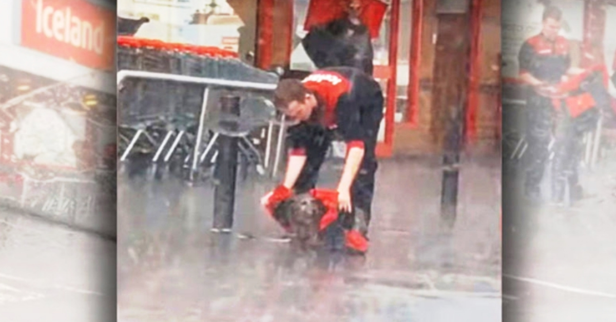 Luke ha coperto il povero cane con la sua giacca