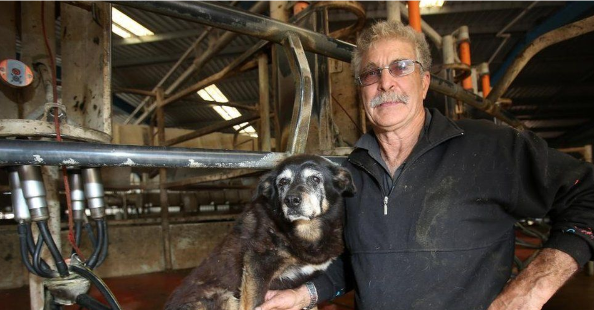 Maggie, il cane che visse trent’anni