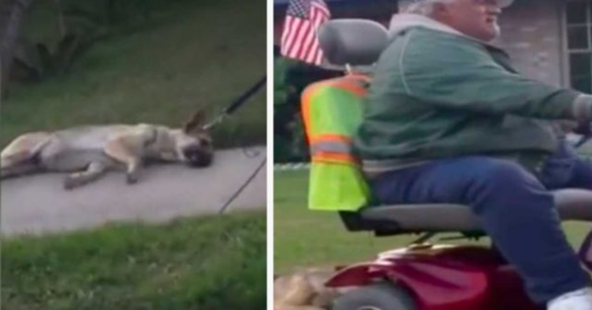 Melissa riprende in un video, un uomo con lo scooter, mentre maltratta il suo cane