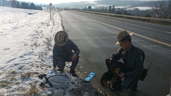 la-storia-dei-2-cagnolini-gettati-dall'auto-in-corsa 1