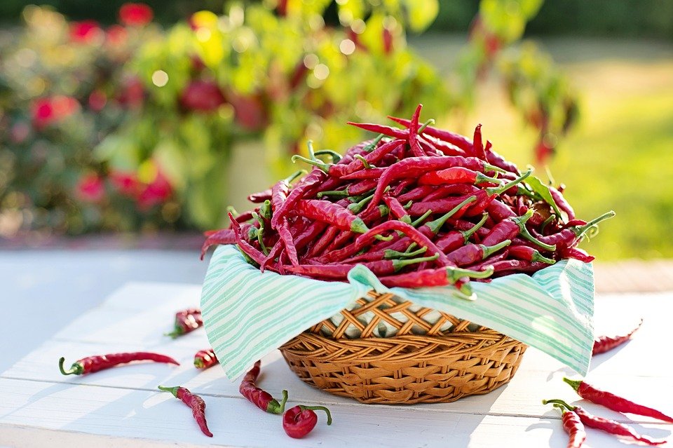 Peperoncino, perché è una spezia importantissima