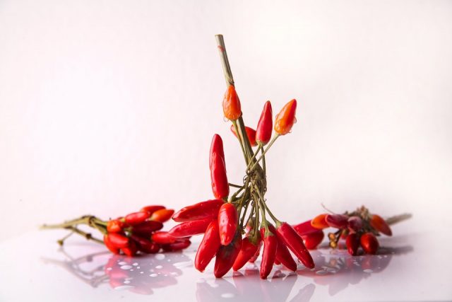 peperoncino-spezia