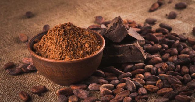 Il cacao riduce la diarrea e fa diventare più intelligenti