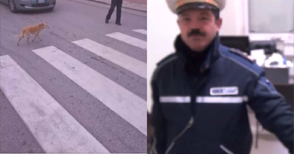 Rosario, il vigile di Grottaminarda che ama i cani