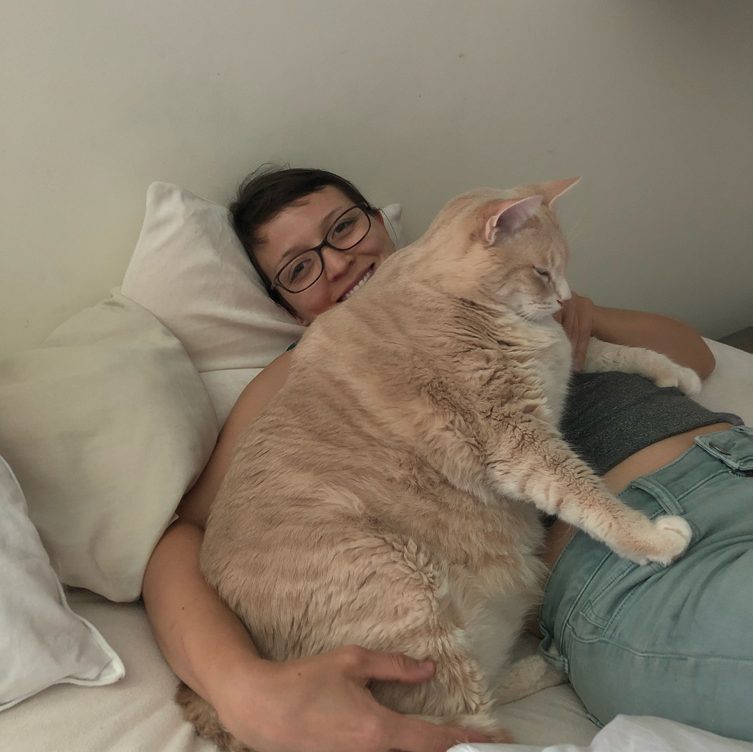 Una coppia ha adottato un gatto di 15 chilogrammi per aiutarlo a dimagrire