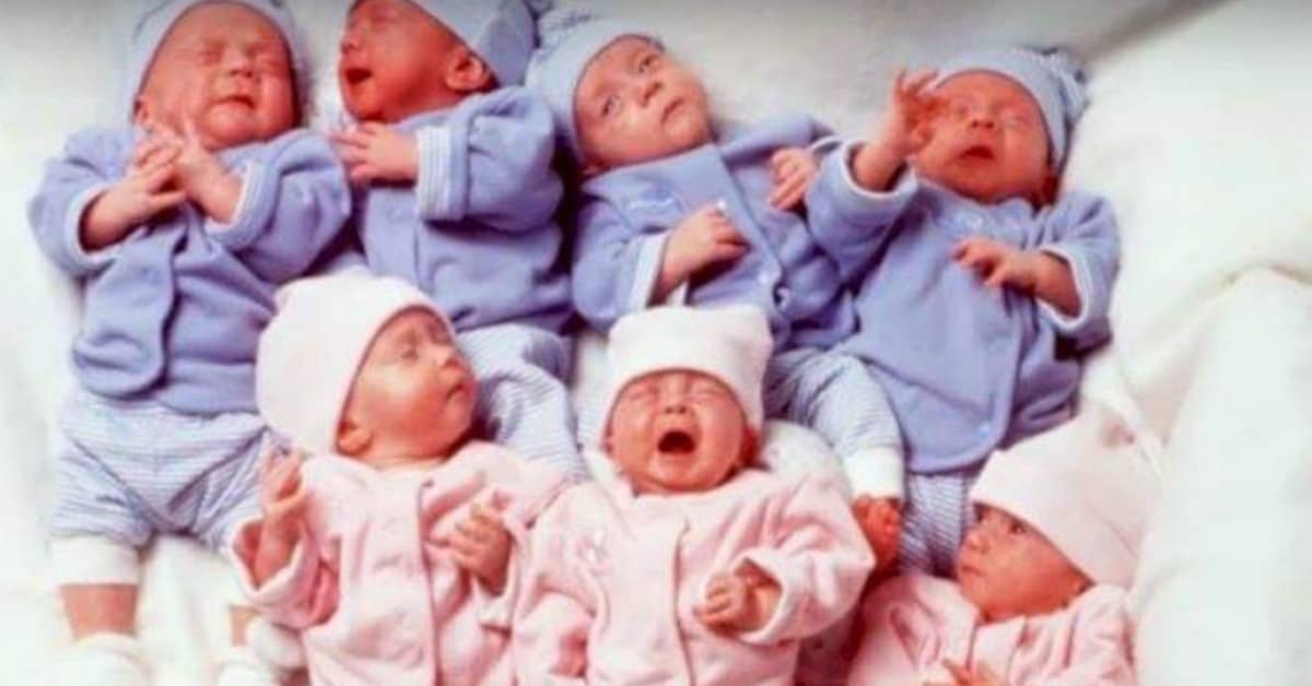 La storia dei sette gemelli