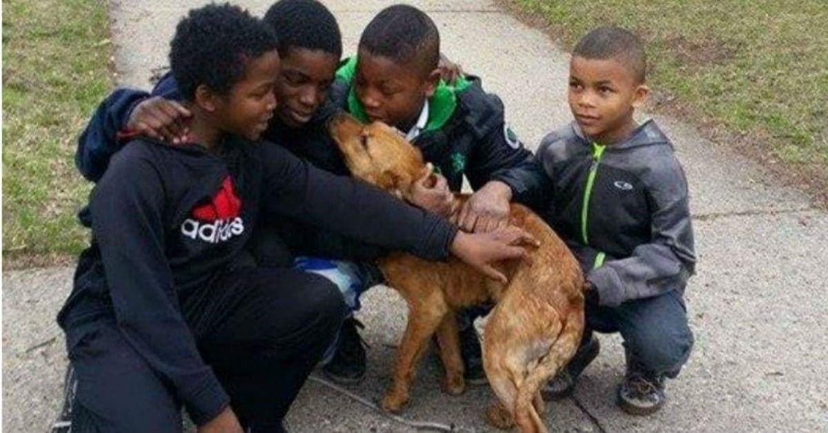 I quattro ragazzini salvano la vita del cane abbandonato