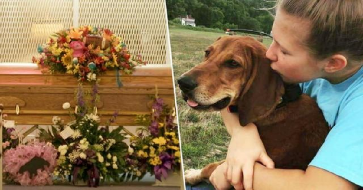 Ragazza di 12 anni muore cercando di salvare il suo cane