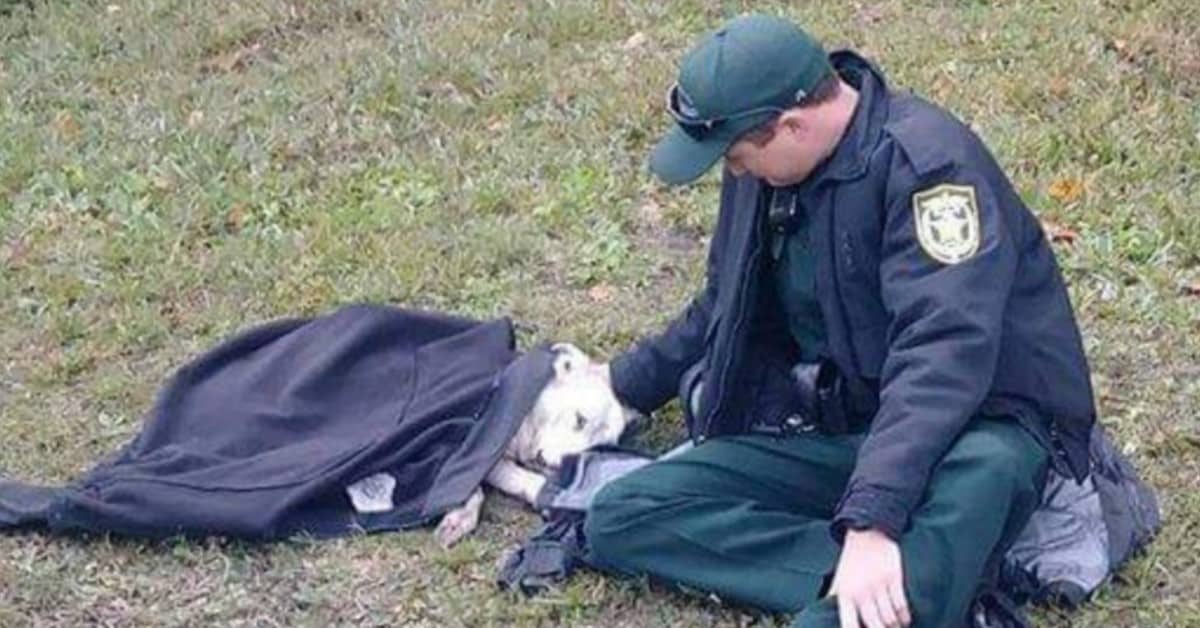 Il poliziotto aiuta il cane il difficoltà