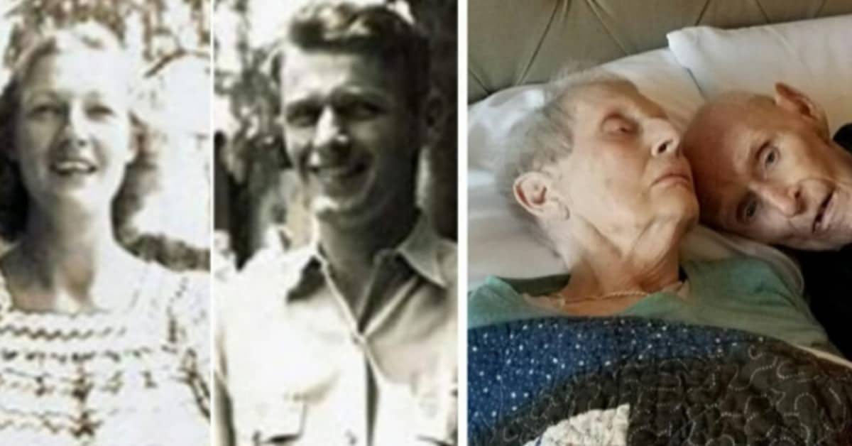 La storia d’amore di Isabel e Peble