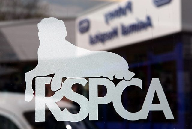 RSPCA