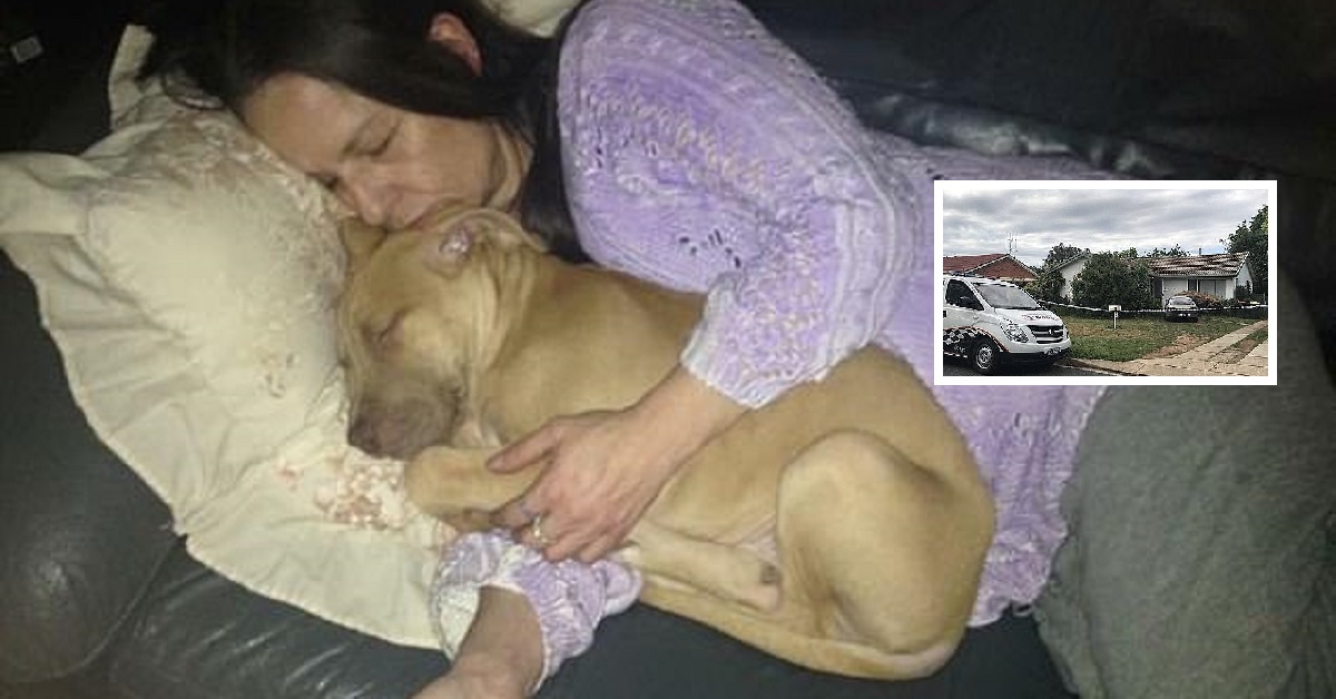 Perché il cane attacca il proprietario