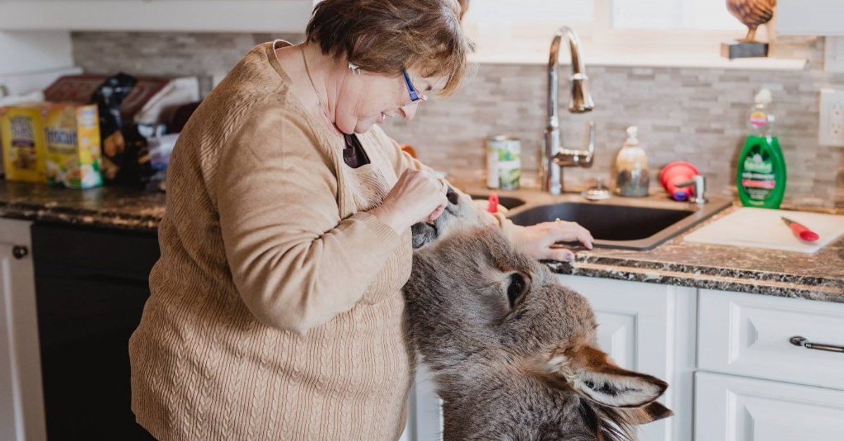 Tiny Tim, l'asino che si crede un cane