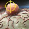 Dall'Israele: "Cura contro il cancro entro la fine dell'anno"