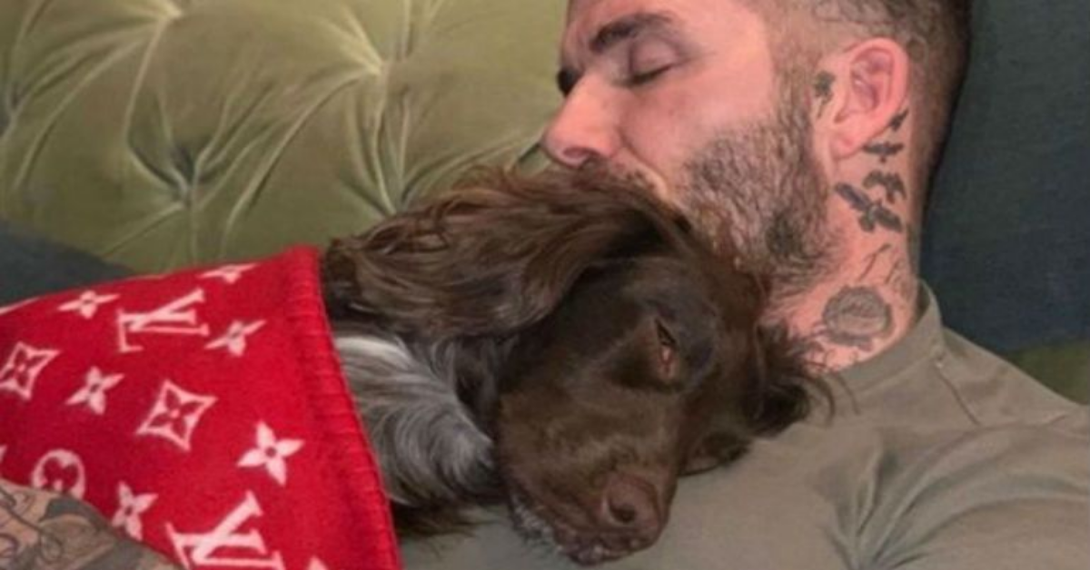 David Beckham pubblica una foto con il suo cane, ma viene criticato