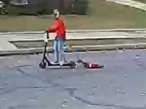 donna-trascina-il-cane-con-uno-scooter