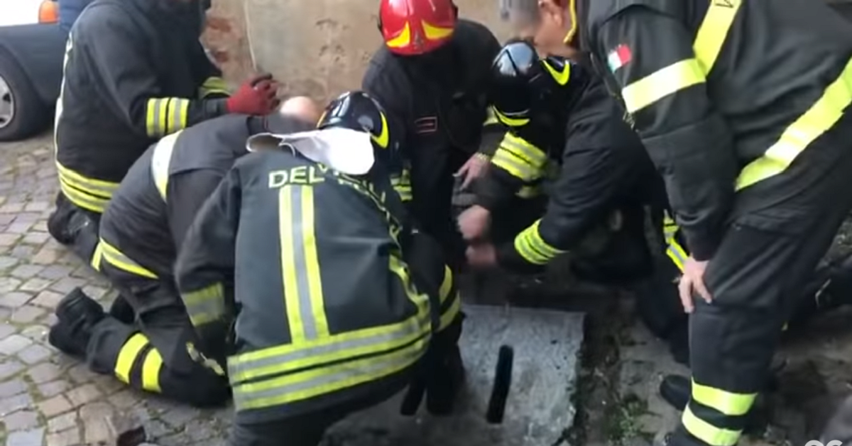 I pompieri salvano un cane incastrato in un tombino ad Agliè
