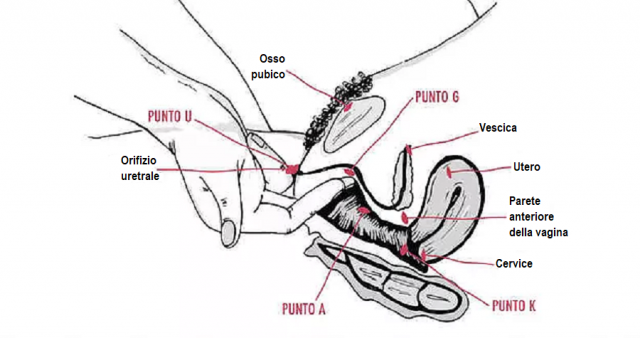 punti-chiave-del-piacere-femminile