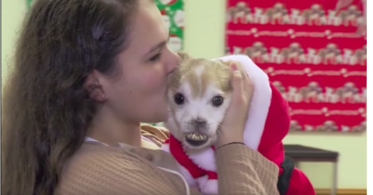 Sniffi e il regalo di Natale