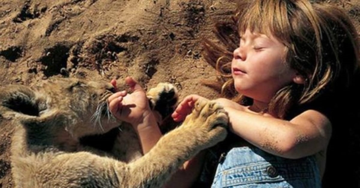 Tippi Degré, la bimba che sussurrava ai leoni