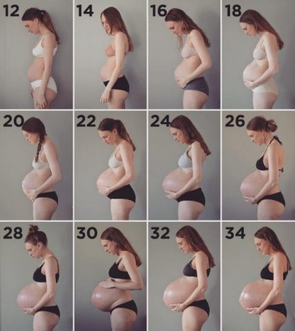 il-corpo-di-Maria-dopo-la-gravidanza 2