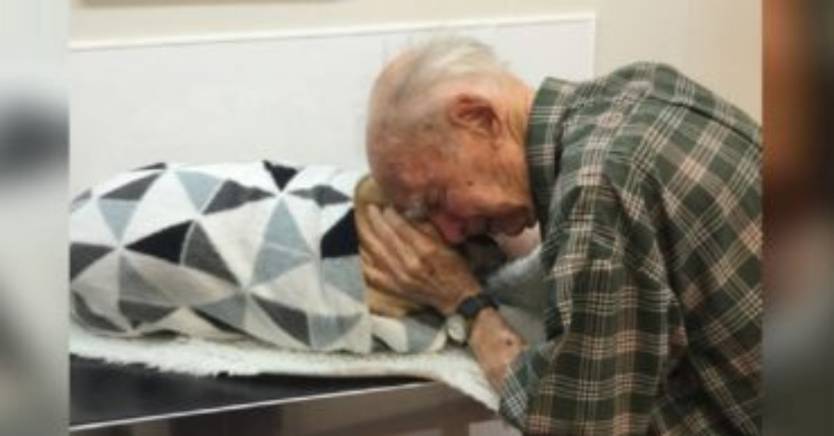 Uomo di 95 anni, con il cuore a pezzi, saluta per sempre la sua cagnolina