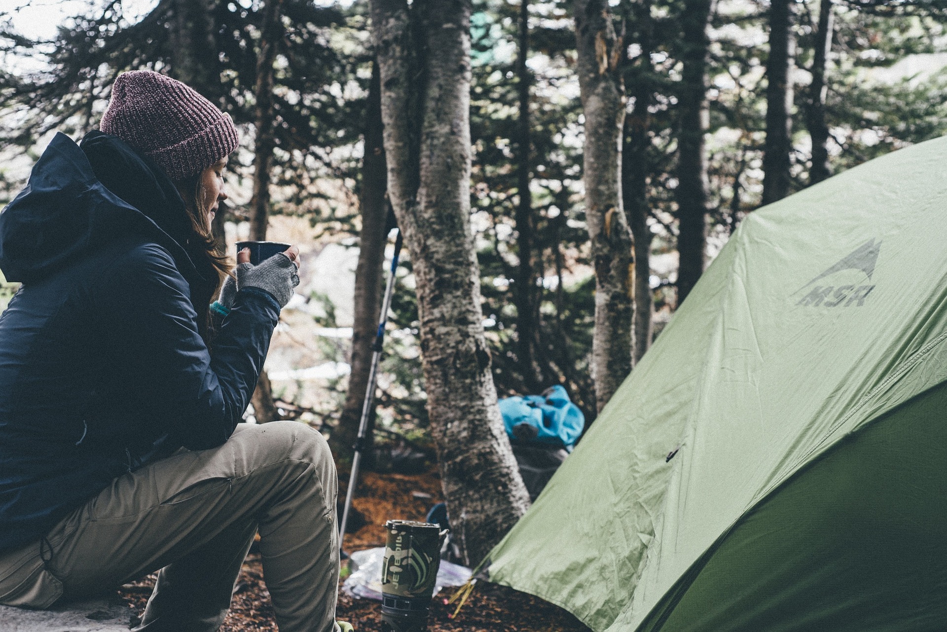 Consigli per viaggi nella natura selvaggia in inverno