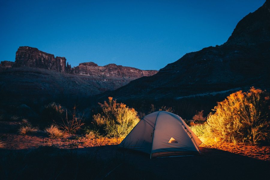 viaggi nella natura selvaggia