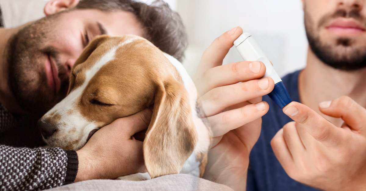 Come i cani possono aiutare i pazienti diabetici