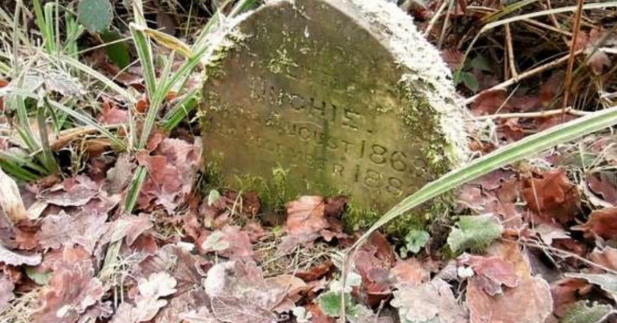 Trova una piccola e antica lapide, in mezzo al bosco.