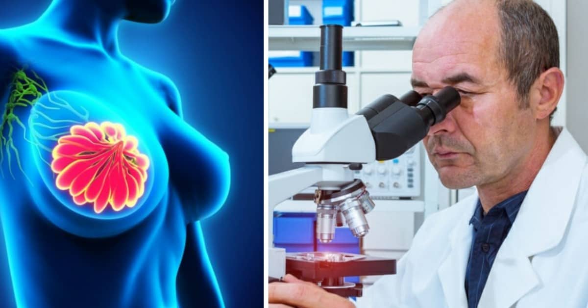Entro un anno gli scienziati assicurano una nuova cura contro il cancro