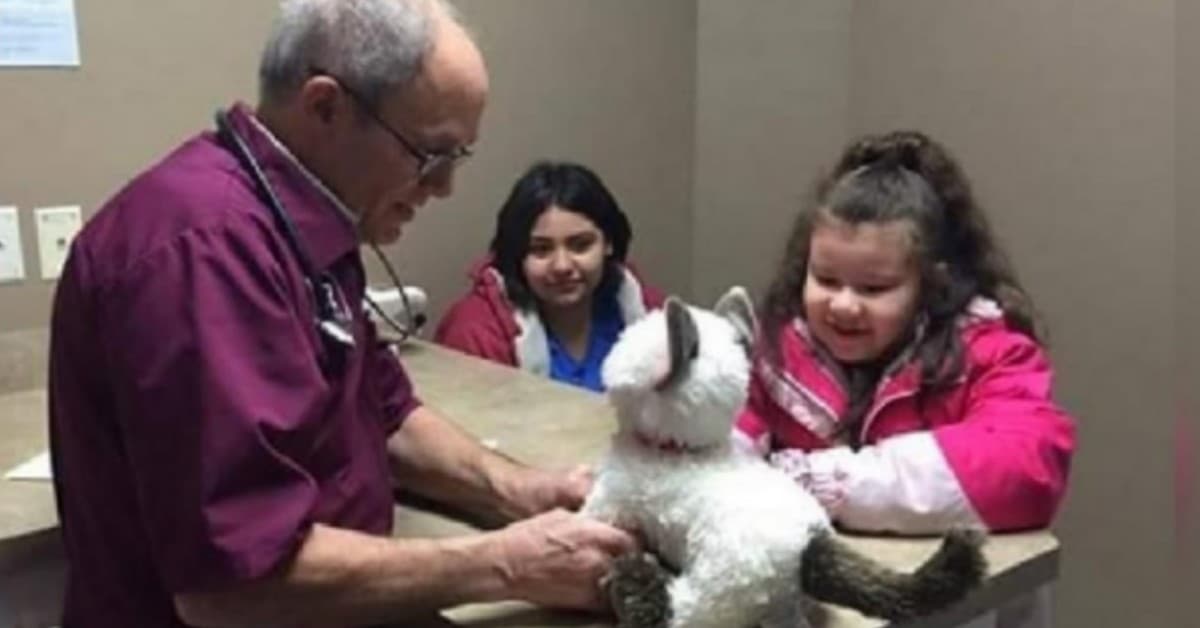 Il-veterinario-cura-il-gattino-di-Peluche-di-Jazmine