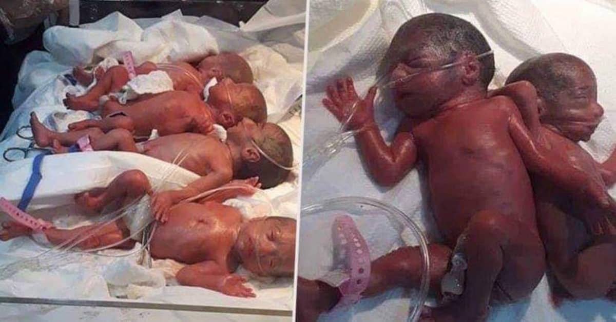 mamma-da-alla-luce-7-gemelli-una-nascita-davvero-rara