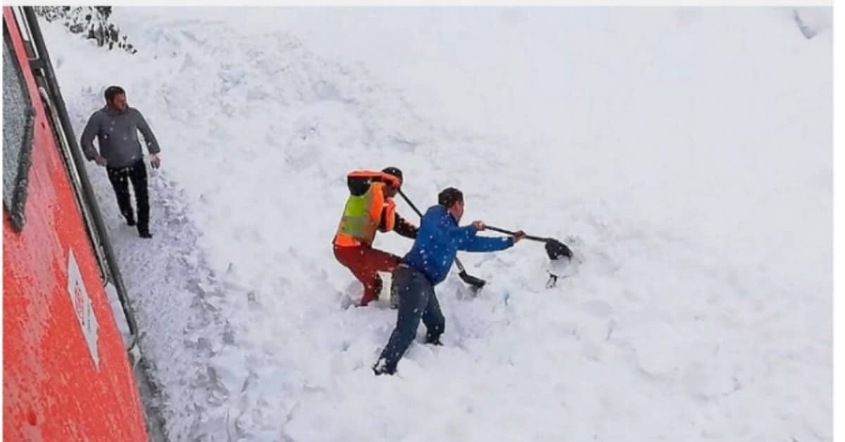 Il salvataggio della capra sotto la neve