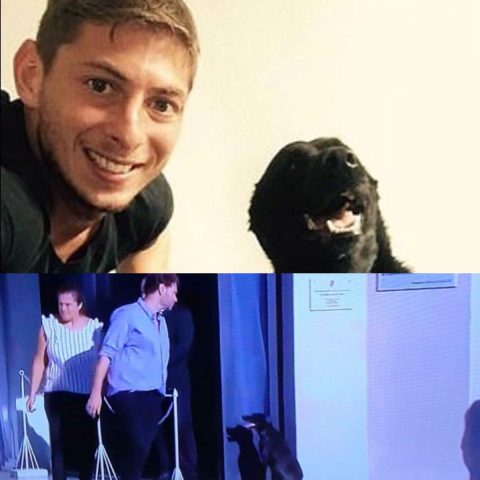 la-lealtà-di-Nala-la-cagnolina-di-Emiliano-Sala 3