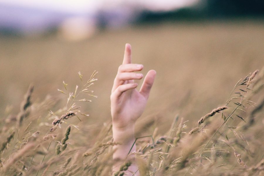 come-idratare-mani-secche