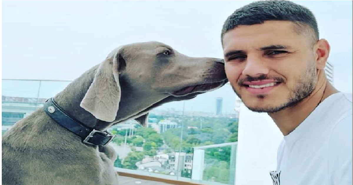 E’ volato sul ponte dell’arcobaleno il cane di Icardi