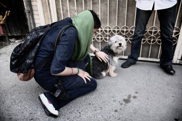 La capitale iraniana vieta ai cani di camminare in pubblico