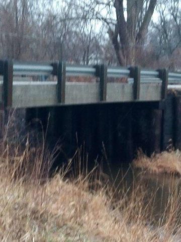 il-salvataggio-del-cucciolo-abbandonato-sotto-il-ponte