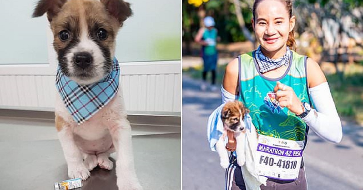 Maratoneta corre 19 miglia correndo un cucciolo dopo averlo trovato sulla strada