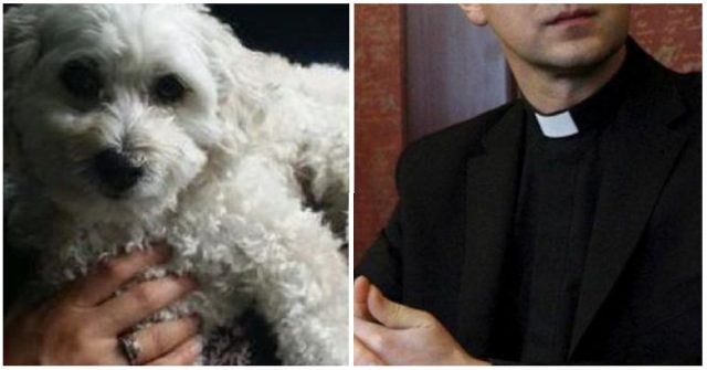 donna-in-chiesa-col-cane-il-prete-la-caccia