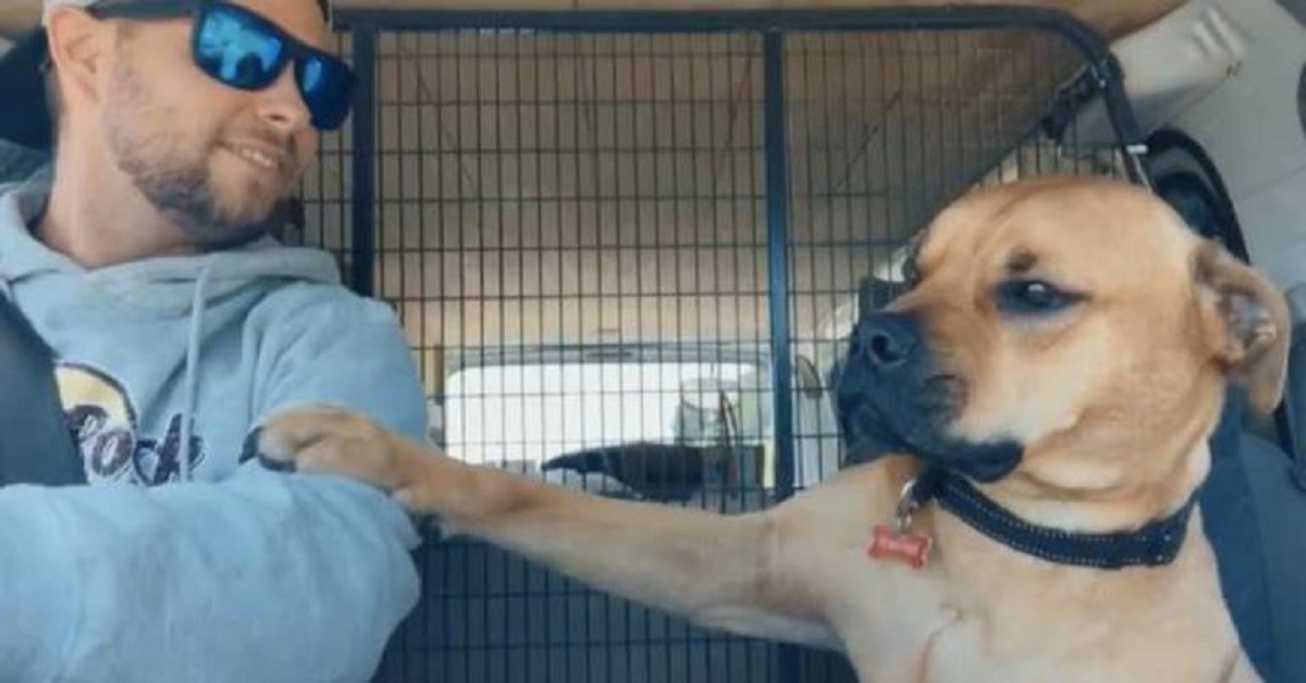 Stanley, il cane che dava la zampa