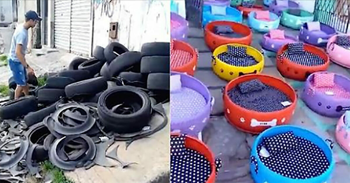 Ragazzo ricicla vecchi pneumatici per creare letti per cani e gatti