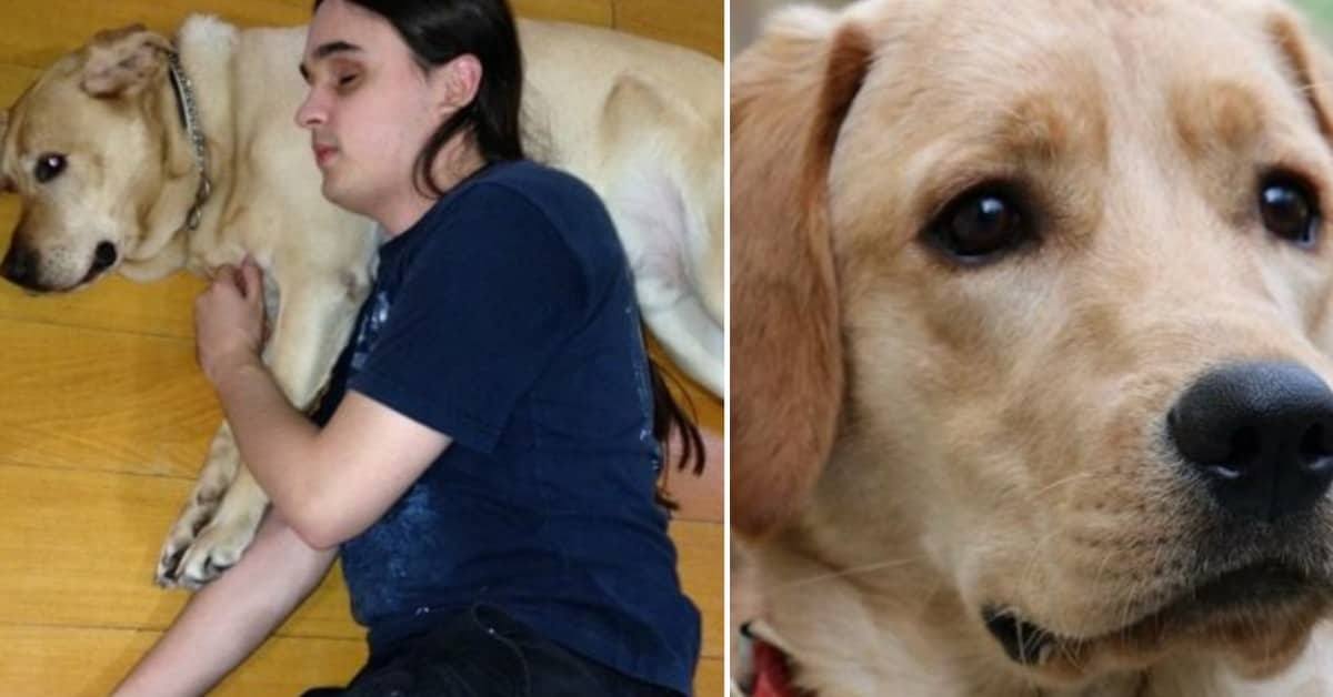 La lettera di addio di Lucas per il suo cagnolino Timmy