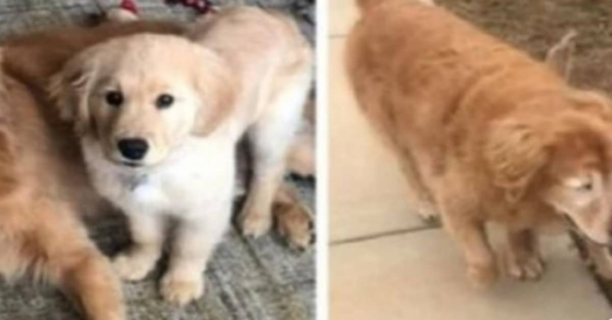 Il legame speciale tra Maverick e Charlie