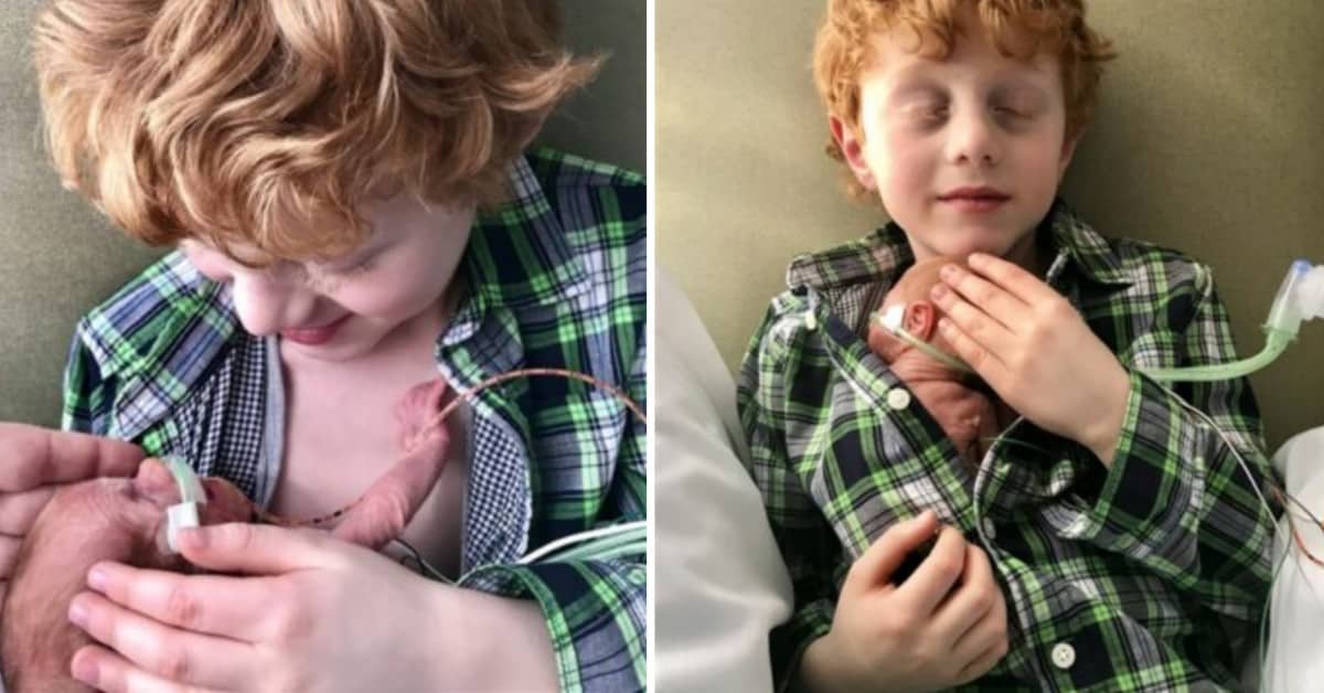Bambino di sei anni coccola il suo fratellino prematuro, con il contatto pelle a pelle