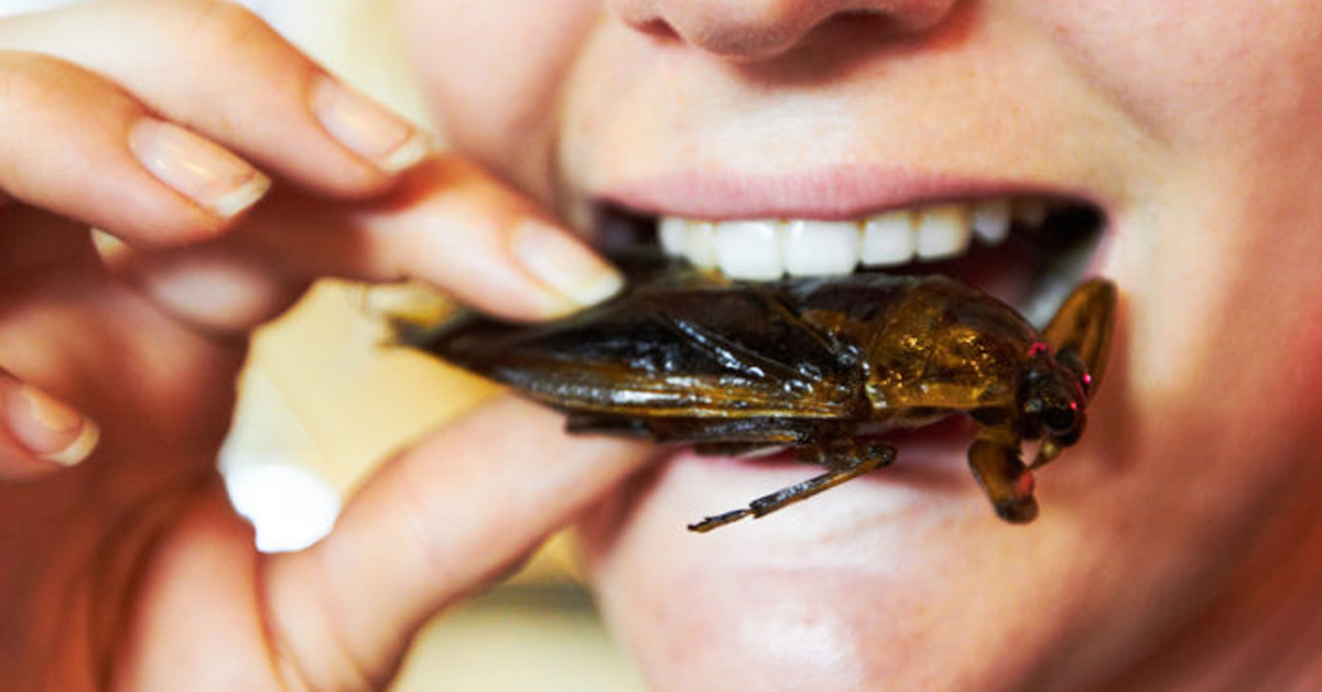 Chi mangia sushi è più incline a mangiare insetti