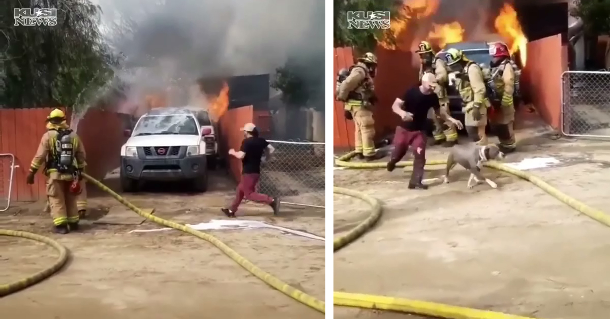 Il padrone eroe che salva il cane dall’incendio